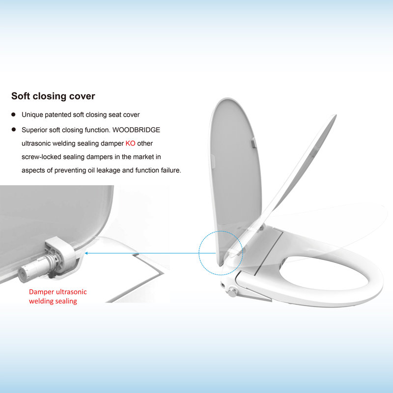 WoodBridge Toilet Seat Bidet Elongated & Reviews Wayfair